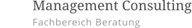         Management Consulting Fachbereich Beratung